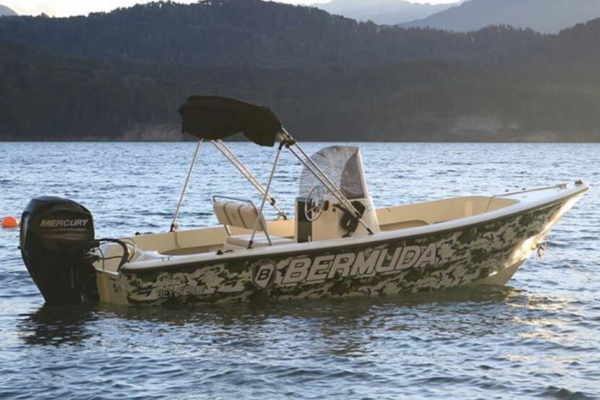 Bermuda  safari 550