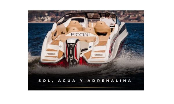 PICCINI 229  SPORT MODELO 2024 - Imagen 4