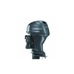 C-  Yamaha F30BETS 4T