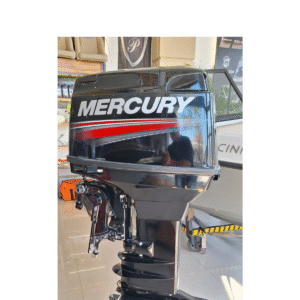 E-40 HP  2 T . MERCURY 2020